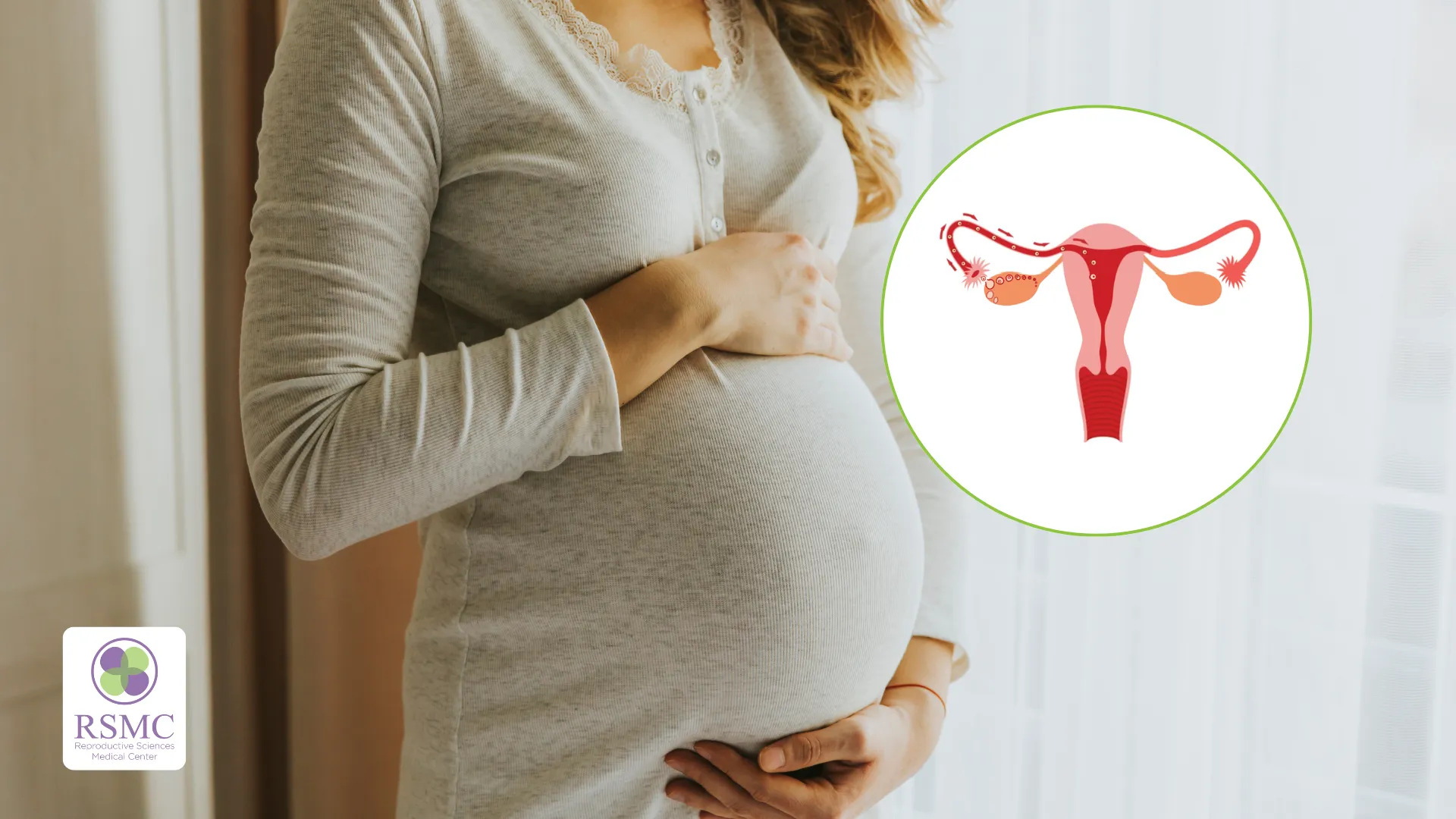What Is the Ideal Follicle Size for IVF?