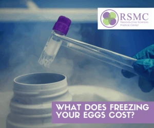 Freezing Eggs Cost: A Smart Investment for Your Future