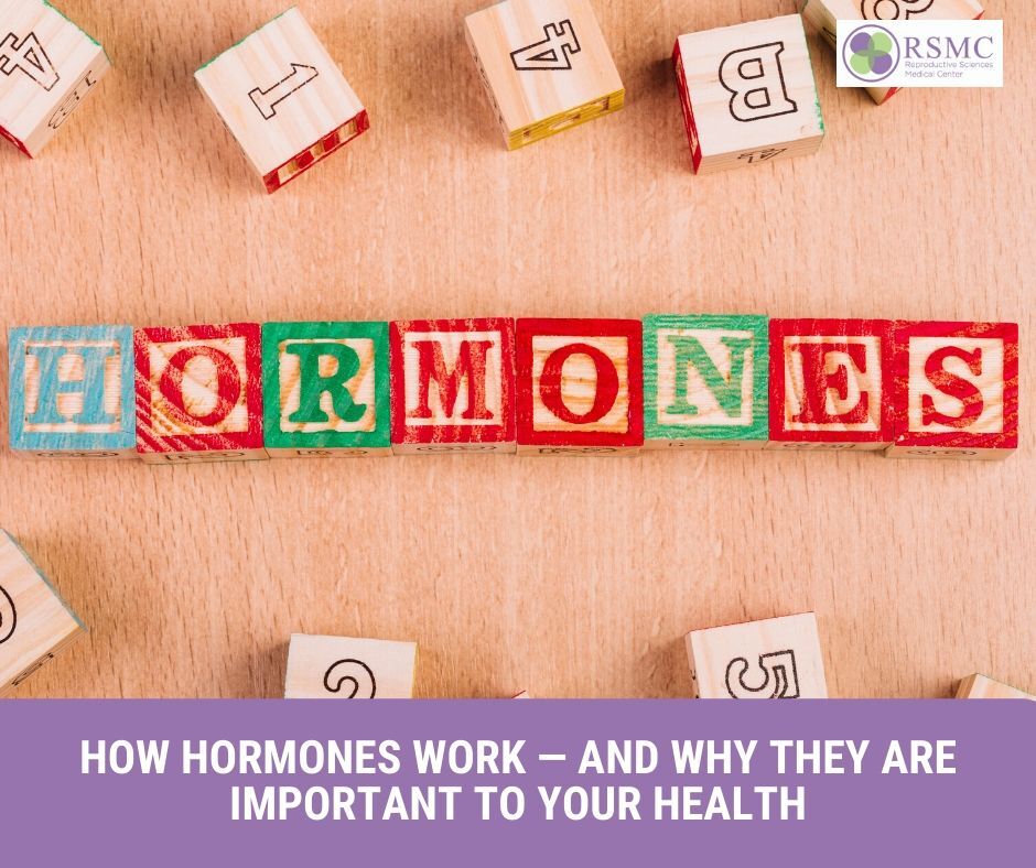 How Hormones Work — and Why They Are Important to Your Health